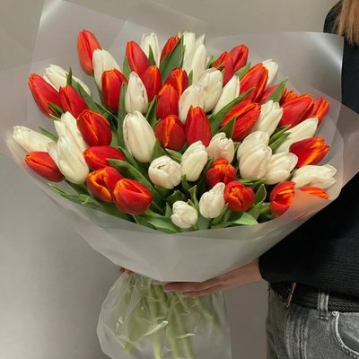 Букет из красных и белых тюльпанов - 51шт.