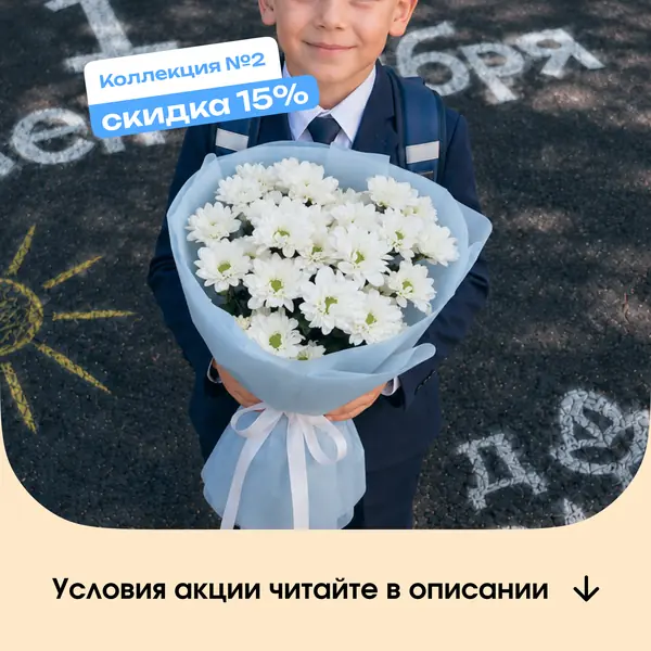 Ромашки